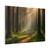 Whispering Pine Forest - Matte Canvas, Stretched, 1.25"