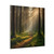 Whispering Pine Forest - Matte Canvas, Stretched, 1.25"