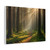 Whispering Pine Forest - Matte Canvas, Stretched, 1.25"