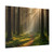Whispering Pine Forest - Matte Canvas, Stretched, 1.25"