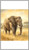 Majestic Elephant Serenade - Tablecloths