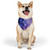 Ethereal Sphere Cascade - Pet Bandana Collar