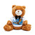 Golden Flame Sovereign - Teddy Bear with T-Shirt