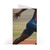 Pinnacle Athlete Rush - Greeting Cards (7 pcs)