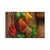Savory Spice Symphony - Postcards (7 pcs)