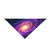 Galactic Whirlwind Dance - Pet Bandana