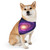 Galactic Whirlwind Dance - Pet Bandana Collar