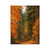 Golden Autumn Retreat - Velveteen Microfiber Blanket