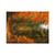 Golden Autumn Retreat - Velveteen Microfiber Blanket
