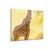 Gentle Giraffe Glow - Acrylic Prints (French Cleat Hanging) 