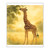 Gentle Giraffe Glow - Gift Wrapping Paper Sheets, 1pc