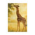 Gentle Giraffe Glow - Puzzle (110, 252, 520, 1014-piece)