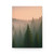 Whispering Pines - Hardcover Journal Matte