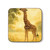 Gentle Giraffe Glow - Hardboard Back Coaster