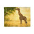 Gentle Giraffe Glow - Soft Polyester Blanket