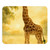 Gentle Giraffe Glow - Mouse Pad (EU)