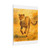 Hunting Grace of the Cheetah - Matte Canvas, Stretched, 1.25"