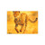 Hunting Grace of the Cheetah - Post-it® Note Pads