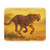 Hunting Grace of the Cheetah - Mouse Pad (Rectangle)
