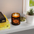 Flavors of Autumn - Scented Candles, Coconut Apricot Wax (4oz, 9oz)