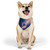 Fluid Geometry Harmony - Pet Bandana Collar