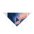 Fluid Geometry Harmony - Pet Bandana