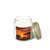 Savanna Harmony - Scented Candles, Coconut Apricot Wax (4oz, 9oz)