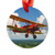 Wings of History - Acrylic Ornament with Ribbon