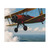 Wings of History - Matte Posters