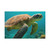 Serene Ocean Whisper - Canvas Art Wraps, 1.6"