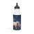 Celestial Dreamscape - Stainless Steel Water Bottle