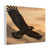 Eagle's Soar - Matte Canvas, Stretched, 1.25"