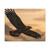Eagle's Soar - Matte Canvas, Stretched, 1.25"