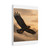 Eagle's Soar - Matte Canvas, Stretched, 1.25"