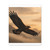 Eagle's Soar - Matte Canvas, Stretched, 1.25"