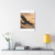 Eagle's Soar - Matte Canvas, Stretched, 1.25"