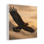Eagle's Soar - Matte Canvas, Stretched, 1.25"