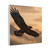 Eagle's Soar - Matte Canvas, Stretched, 1.25"