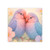 Whimsical Love Birds - Post-it® Note Pads
