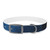 Celestial Spellcaster - Dog Collar