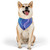 Ethereal Wave Symphony - Pet Bandana Collar Ethereal Wave Symphony - Pet Bandana Collar