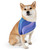 Ethereal Wave Symphony - Pet Bandana Collar Ethereal Wave Symphony - Pet Bandana Collar