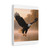 Eagle's Flight - Matte Canvas, Stretched, 1.25"