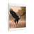 Eagle's Flight - Matte Canvas, Stretched, 1.25"