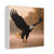 Eagle's Flight - Matte Canvas, Stretched, 1.25"