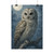 Ethereal Owl Watch - Posters (EU)