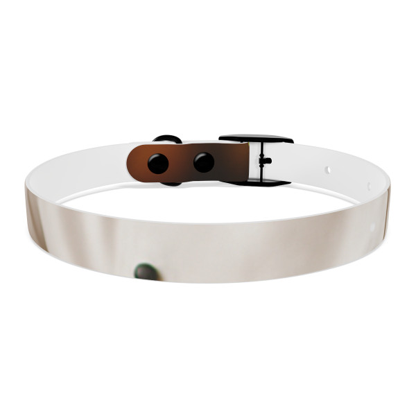 Whisk of Wonders - Dog Collar