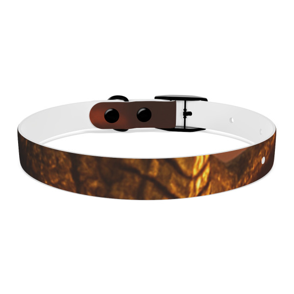 Golden Ember Serpent - Dog Collar
