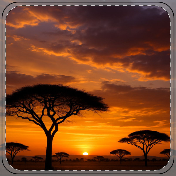 Savanna Sunset Harmony - Coaster