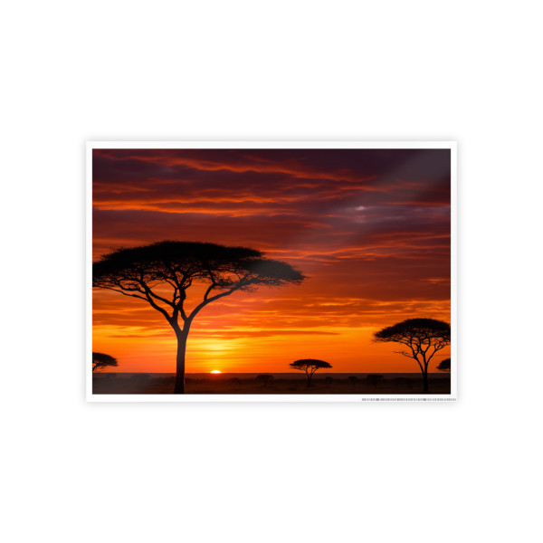 Savanna Sunset Harmony - Gloss Posters
